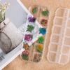 Nuevo Estilo Japonés y Coreano Arte de Uñas Flor Seca 12 Margarita Grácil Narciso Pegatina de Pollo Flor de Color Joyería para Uñas Transfronterizo