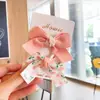 Pinza para la boca con relieve floral estilo coreano, lazo fresco, 2 piezas, pinza lateral para niña, pasador simple para padres e hijos