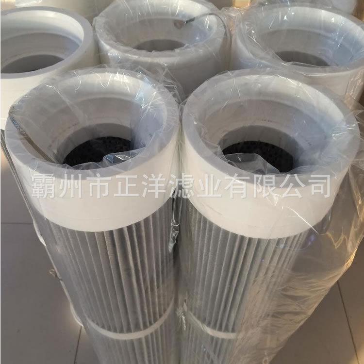 1.2米防静电滤筒.jpg