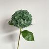 Hortensia Simulada de Alta Gama 3 Hojas 216 Piezas Hortensia Grande Color Impresión 3D Clase Flores Simuladas Flores Falsas Arte Floral para Bodas