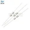 Fabricante direto fusível de vidro 3,6*10mm T1.5A 250V de ação lenta com tampas duplas e terminal de chumbo fusível
