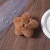 Capibara Estrella Peluche Chirriante Colgante Estilo Budista Llavero Creativo Colgante Dulce Estilo Fresco