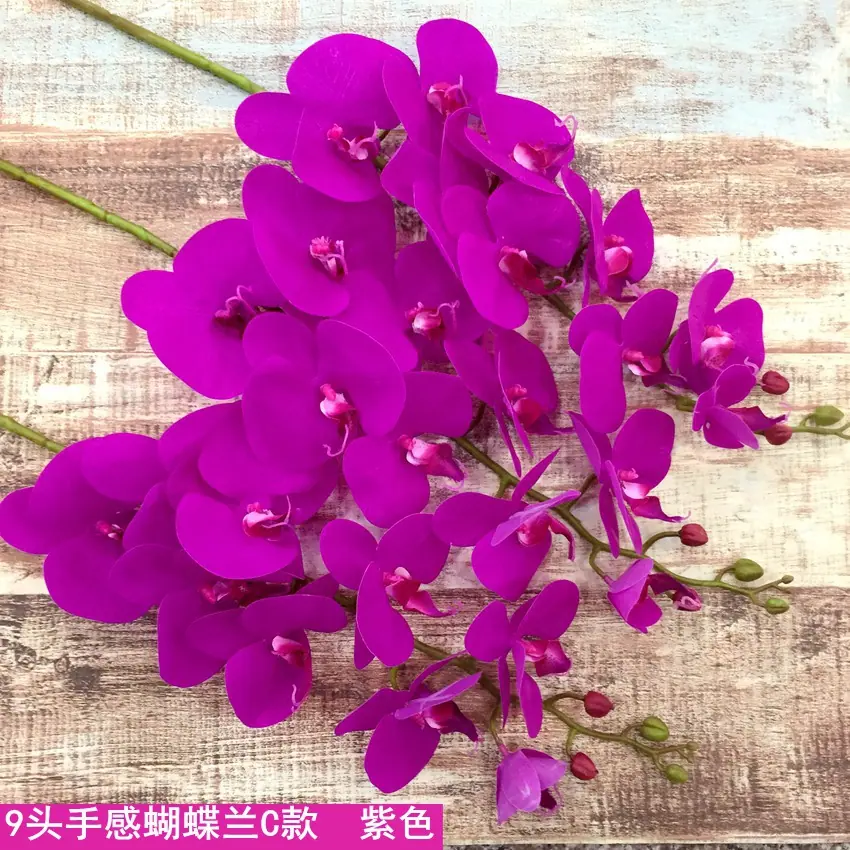 1_副本
