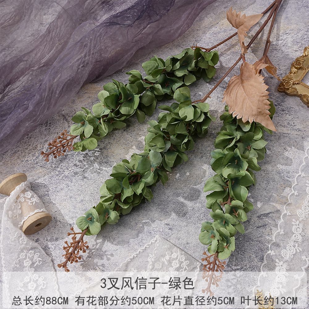 3叉风信子 绿色