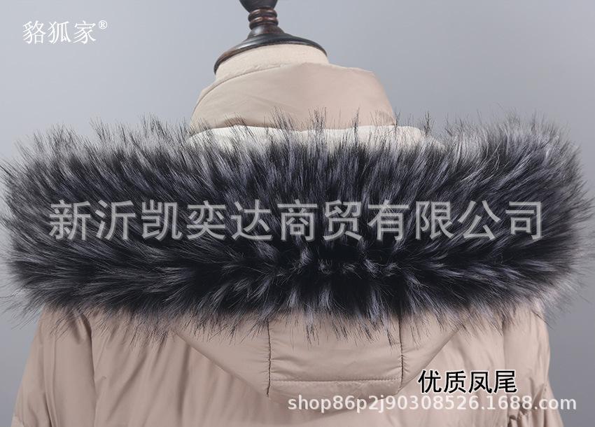 优质凤尾.jpg