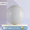 Pelota de Yoga Antiexplosión Engrosada de PVC Pelota de Fitness Niños Mujeres Embarazadas Set de Masaje Hogar Venta al por Mayor Yoga Bebé