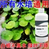 Solución Nutritiva Hidropónica Universal para Plantas para Uso Doméstico, para Cultivar Flores, Plantas Verdes, Plantas en Maceta y Árboles de la Fortuna, Fertilizante Líquido