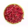 Pimiento del diablo indio súper picante, producto nuevo, envío gratis, 500g, extremadamente picante, segmentos de chile extremadamente picantes, fabricante mayorista de chiles secos comerciales