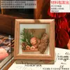 Materiales DIY Hechos a Mano Marco de Fotos de Madera Maciza Flores Preservadas Frutas Secas Marco Decorativo Exhibición de Mesa Planta Especimen Marco de Exhibición 3D