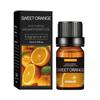 Óleo Essencial de Aromaterapia Desodorizante Transfronteiriço 10ml Máquina de Aromaterapia para Interior Fragrância Duradoura Óleo Essencial de Lavanda para Massagem