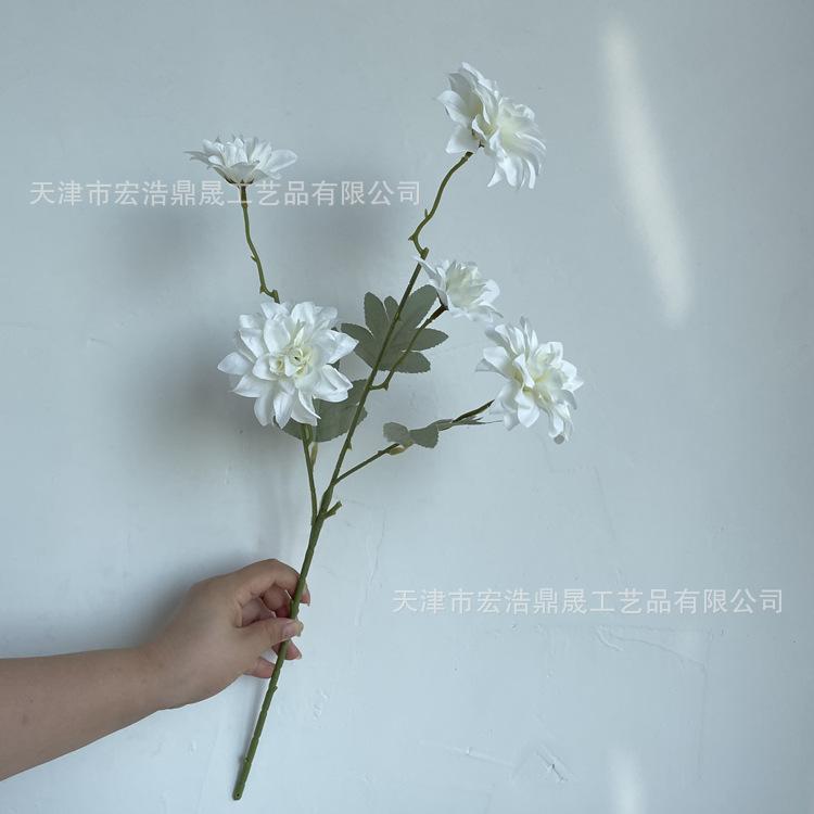 微信图片_202208161554356_副本