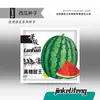 Fabricante Original Atacado Sementes de Melancia Açúcar de Pedra Kirin 8424 Mel Melão Pequeno Preguiçoso Rei Sementes de Pele Preta