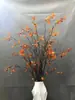 Simulación de Hojas de Otoño Envolviendo Ramas Secas, Techo, Ramas y Arreglo de Ratán, Hojas de Bayas Silvestres, Enredaderas, Ramas Secas, Paisaje Floral Suave