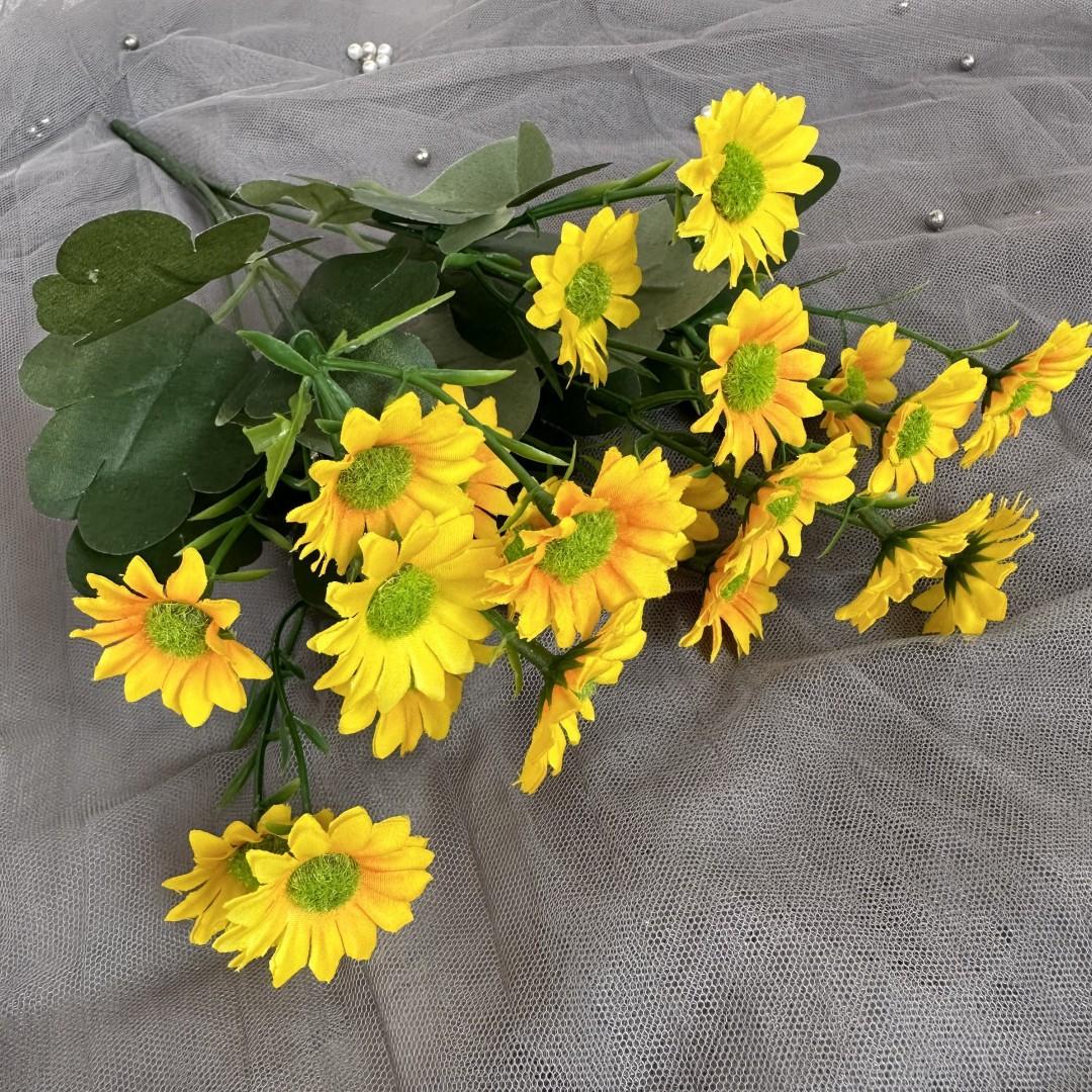 邹菊把黄色