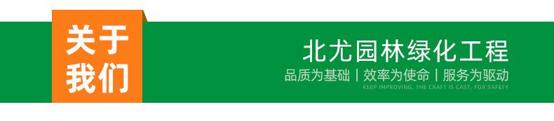 详情_07.jpg