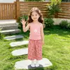 Conjunto de Top Camisola y Pantalones Rectos de Verano 2026 Estilo Nuevo para Niños, Conjunto de Dos Piezas de Camisola Dulce y Lindo para Niñas