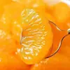 Laranjas frescas em calda de açúcar, caixa fechada, latas grandes comerciais de rodelas de laranja, lanches de frutas prontos para comer