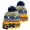 2026 Nuevo Gorro de Lana Tejido para Deportes Universitarios de la NCAA Transfronterizos Gorro de Punto Cálido para Exteriores que Protege los Oídos