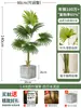 Palmera Areca Artificial Grande de Lujo de Gama Alta, Planta Verde, Árbol Falso, Planta de Bambú Cola de Fénix para Decoración de Paisajismo Tropical de Interiores
