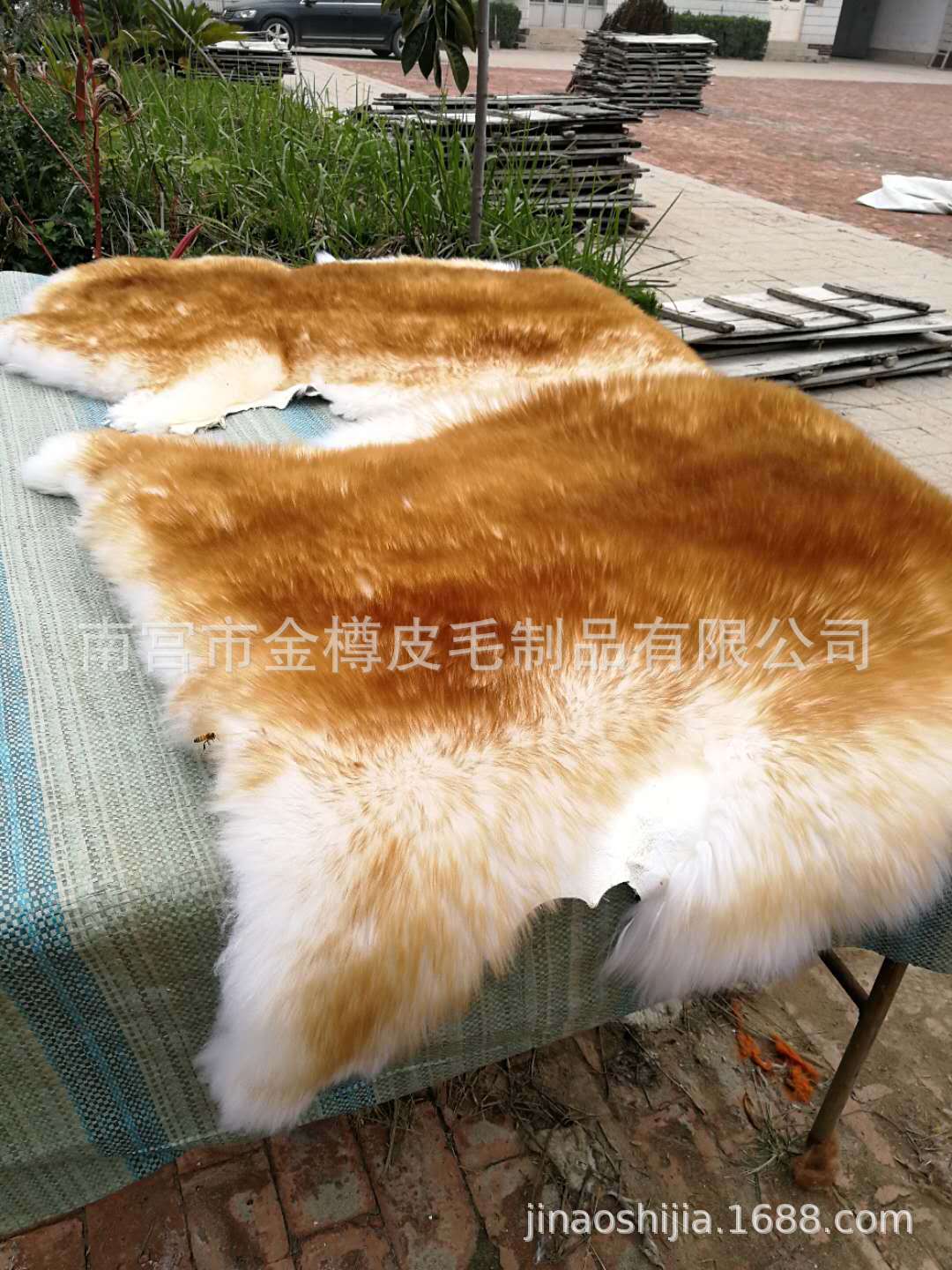 微信图片_20200814150353