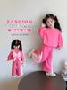 Conjunto de Sudadera de Primavera para Niñas 2025 Nuevo Conjunto Casual y Elegante de Dos Piezas para Niños Ropa de Moda de Primavera y Otoño para Bebés