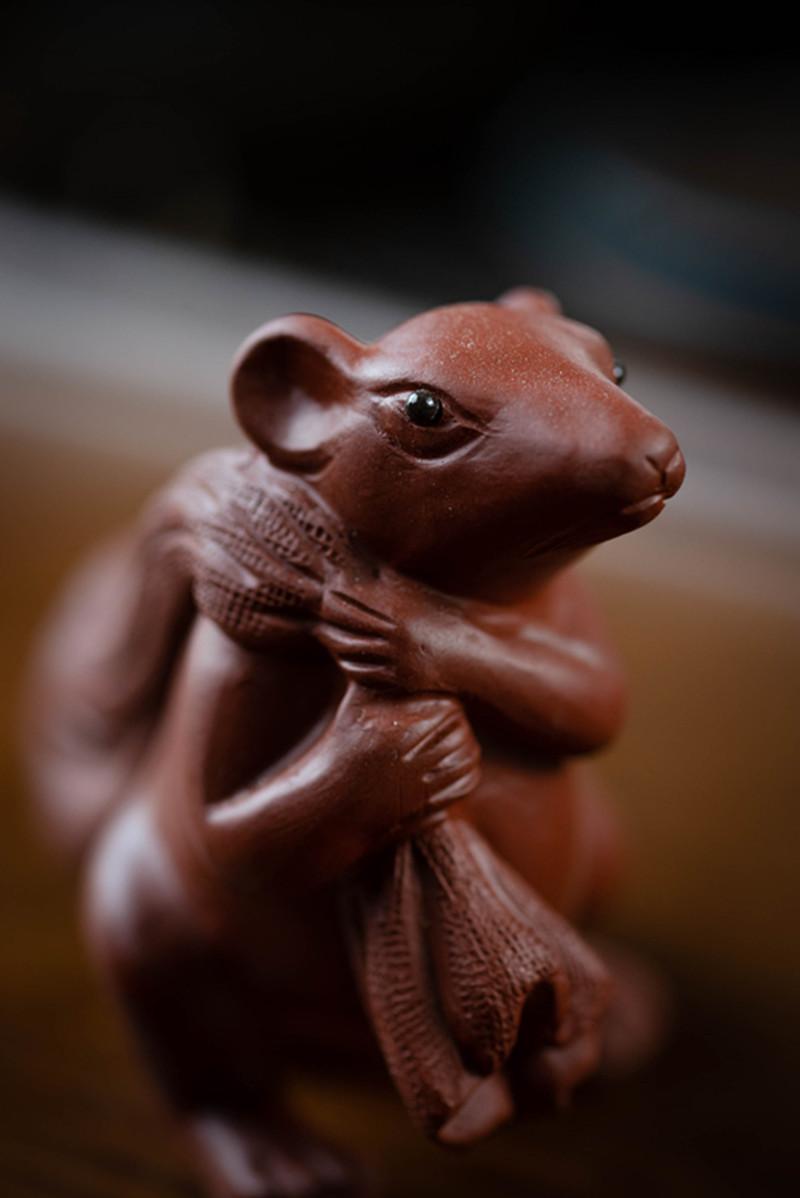 老鼠代代数钱84