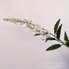 Buquê macio decoração de casa casamento casamento flor eterna arranjo de flores de lavanda