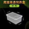 Caja de Cría para Mascotas Reptiles, Tanque de Cría para Cangrejo Peludo y Serpiente, Terrario Transparente de Acrílico con Control de Temperatura y a Prueba de Escape