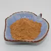 Extracto de Raíz de Isatis Spray Secado Polvo de Extracción Proporcional de Raíz de Isatis Concentrado Polvo de Materia Prima Completamente Soluble en Agua Fabricante