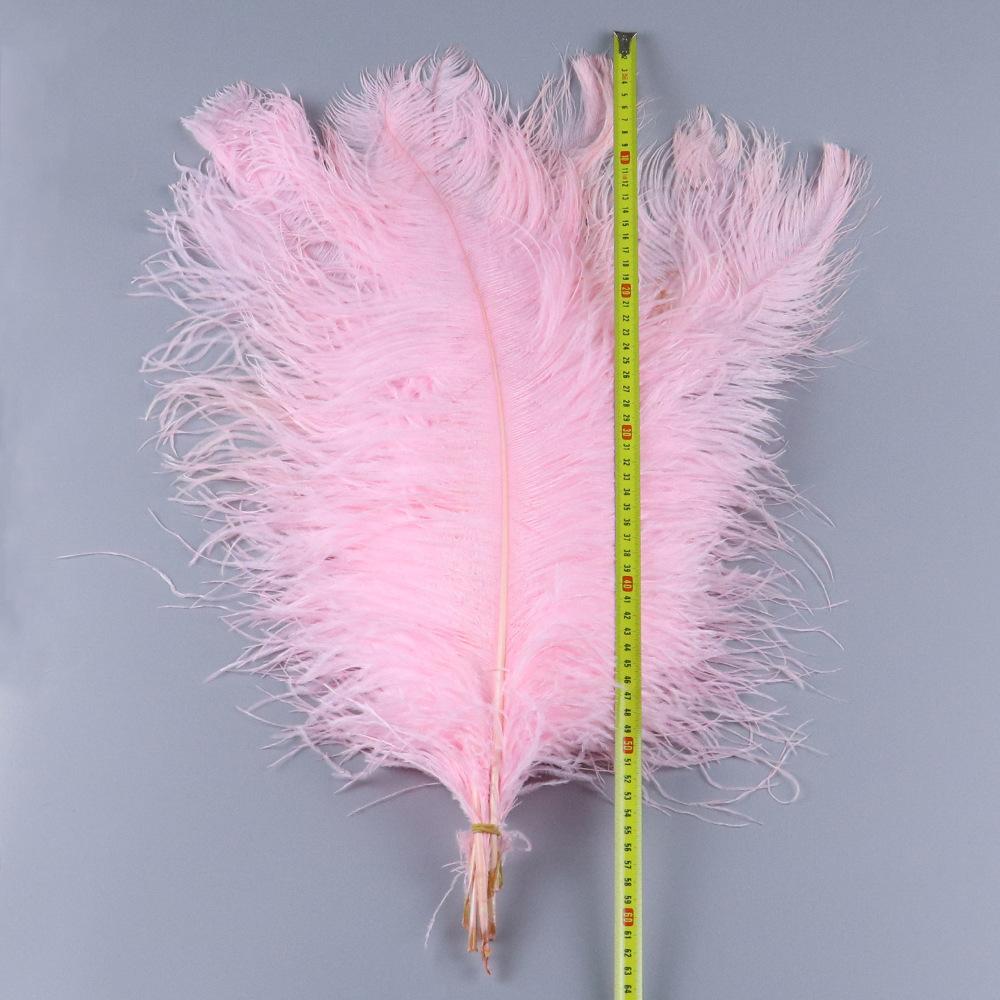 TS0160024 60-65cm ostrich feat