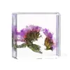 Artesanato Jingling Espécime de Planta Real Flor de Trevo de Quatro Folhas Educação Científica Presente de Feriado Ornamento de Resina Artesanato