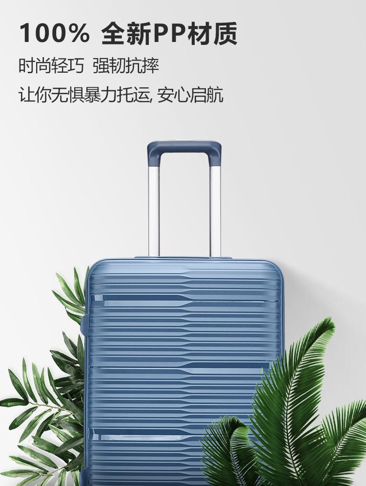 PP-11(1).jpg