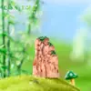 Decoração de micro paisagem de musgo acessórios para garrafa ecológica rocalha de paisagem tricolor suculenta em vaso pequenos ornamentos