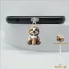 Protetor de Poeira para Celular Gato Raivoso Acrílico Popular Transfronteiriço 2D Pingente Tipo-C Fofo