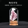 Adornos de muestra de mineral de piedra cruda de cristal natural, mineral de roca de ágata de cristal, adornos de regalo de enseñanza científica popular para niños