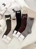 Accesorios de Invierno Estilo Nuevo Calcetines Largos Holgados de Cachemir de Doble Punto para Mujer Calcetines Largos Cálidos de Estilo Coreano Modernos con Etiquetas de Tela para Mujer