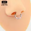 Anillo para la Nariz de Acero de Titanio Médico de Venta Caliente Transfronteriza, Pendientes de Zirconia Incrustada, Clavo para Hueso de la Oreja, Venta Directa de Fábrica