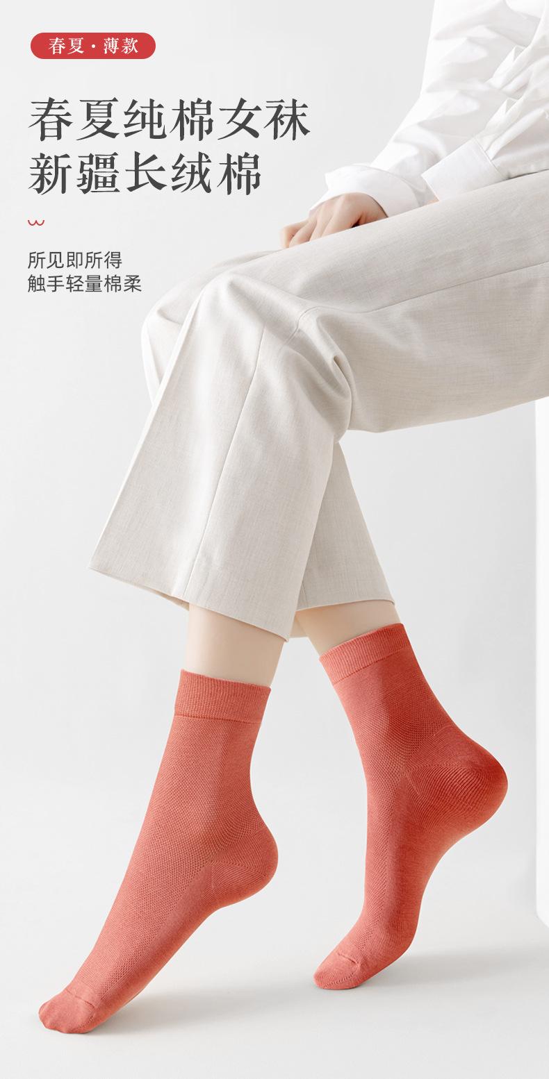 详情_01.jpg