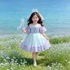 Vestido de Menina Verão Novo Estiloso Vestido Princesa Roupas de Verão para Bebê Menina Vestido Vestido Bolo Bebê