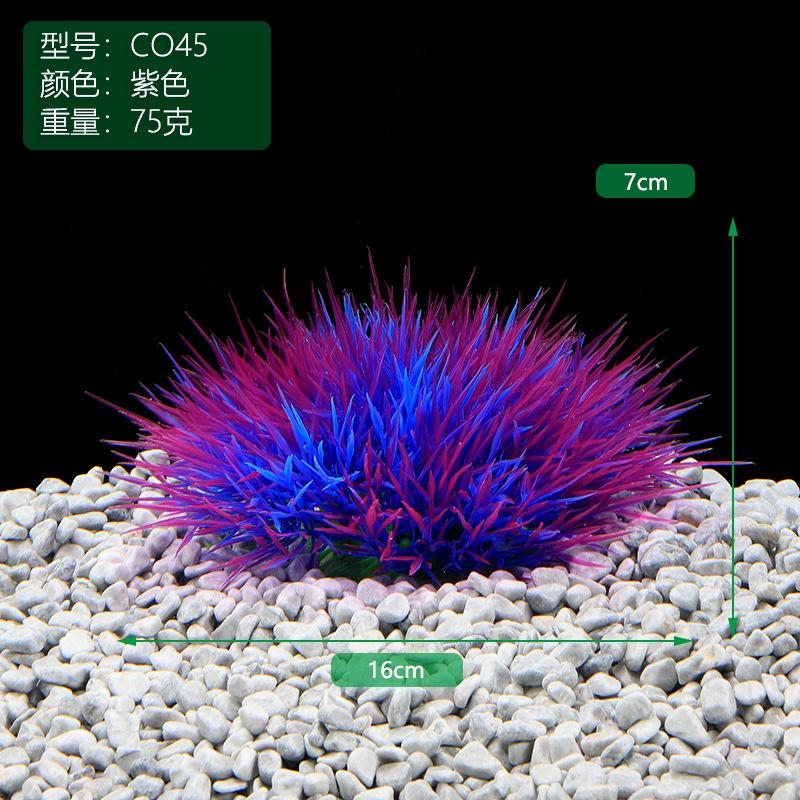 CO54紫色.JPG