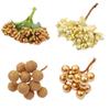 Champagne Dourado Flor de Simulação Flor Pérola Miolo Pistilo Fruta DIY Grampo de Cabelo Artesanal Joia de Cabelo Decoração Acessórios Material