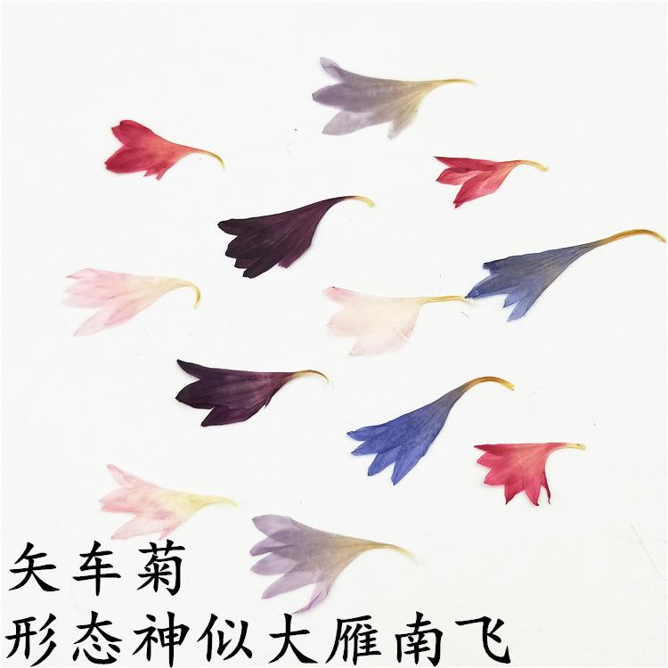 IMG20181226134656