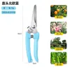 Tijeras de jardinería, tijeras de podar, tijeras para recolectar fruta, cortasetos, tijeras de jardín, cortadores de ramas de fruta, tijeras para fruta, venta al por mayor del fabricante