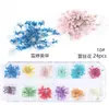 Flor seca para unha transfronteiriça nova japonesa unha renda desidratada flor seca eterna 3D tridimensional flor real joia de unha