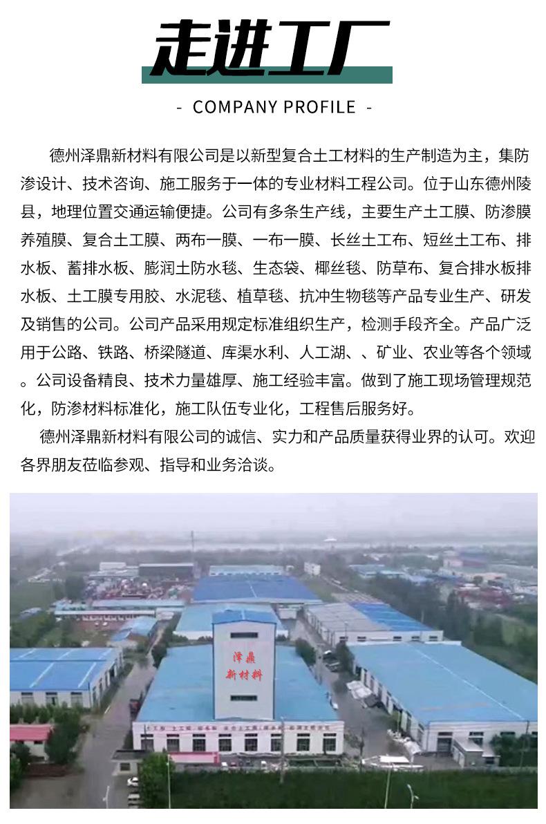 未标题-11_11.jpg