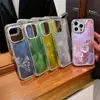 Adecuado para iPhone16 Funda para Teléfono Móvil Pluma de Arena Degradado con Pedrería Apple 15ProMax Láser Sentido Avanzado 14 Funda Protectora