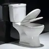 La fábrica de inodoros exporta inodoros de dos piezas al Medio Oriente y Asia Central, con opciones de desagüe al piso, desagüe horizontal, descarga directa, sifón y desagüe a la pared