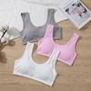 Pedido Extranjero de Shopee Algodón de Alto Volumen Ropa Interior de Entrenamiento para Niños con Chaleco de Esponja, Tallas Grandes para Adolescentes en Período de Desarrollo