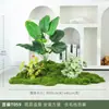 Plantas Verdes Simuladas Musgo Plantas de Paisajismo Interior Paisaje Pequeño Combinación Adornos de Musgo Verde Debajo de las Escaleras Arreglo de Flores Artificiales Biónicas
