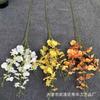 Orquídea Bailarina Flor de Simulación Cinta 3D Mini Phalaenopsis Boda Hogar Flor de Seda Ingeniería Comercio Exterior Venta al por Mayor Simulación